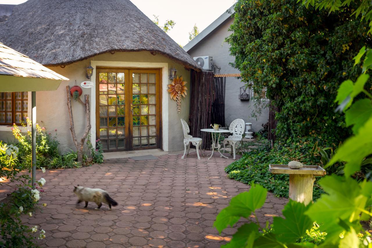 Morning Glory Cottages Venterstad 外观 照片
